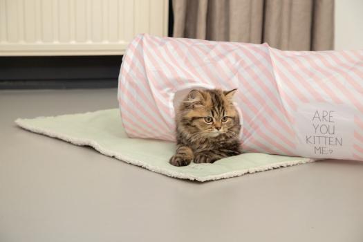 beeztees Kitten Plüsch-Decke Tilou Katzendecke